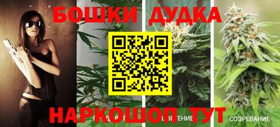 молекула духа Краснодар