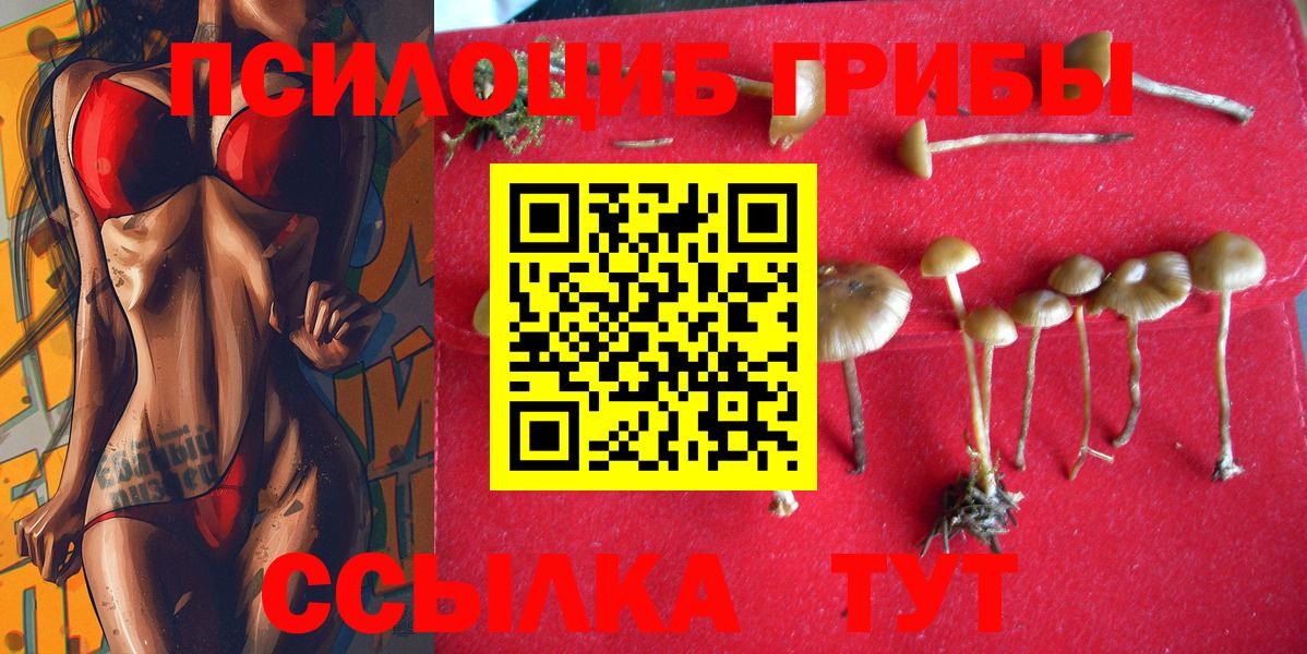 Ейск  цены   Вход с VPN  Псилоцибиновые грибы прущие грибы 